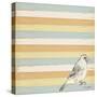 Bird Stripes-Tammy Kushnir-Stretched Canvas