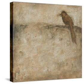 Bird Study I-Casey Matthews-Stretched Canvas