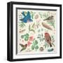 Bird Study III-Janelle Penner-Framed Art Print