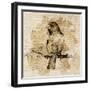 Bird Study IV-Lanie Loreth-Framed Art Print