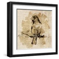 Bird Study IV-Lanie Loreth-Framed Art Print