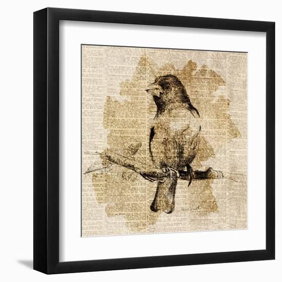 Bird Study IV-Lanie Loreth-Framed Art Print