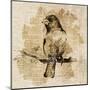 Bird Study IV-Lanie Loreth-Mounted Art Print