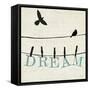 Bird Talk IV-Pela Design-Framed Stretched Canvas