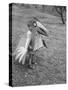 Bird Toy Made to Wear For Children by Charles Eames-Allan Grant-Stretched Canvas