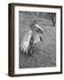 Bird Toy Made to Wear For Children by Charles Eames-Allan Grant-Framed Photographic Print