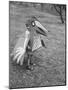 Bird Toy Made to Wear For Children by Charles Eames-Allan Grant-Mounted Photographic Print