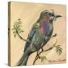 Bird V-Suzanne Etienne-Stretched Canvas