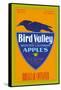 Bird Valley Brand Apples-null-Framed Stretched Canvas