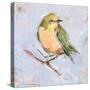 Bird Variety II-Ethan Harper-Stretched Canvas