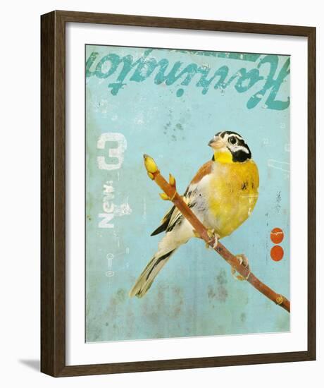 Bird VI-Kareem Rizk-Framed Giclee Print