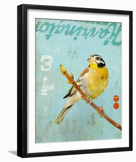 Bird VI-Kareem Rizk-Framed Giclee Print