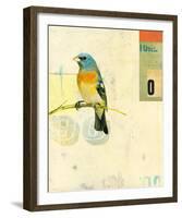 Bird VII-Kareem Rizk-Framed Giclee Print