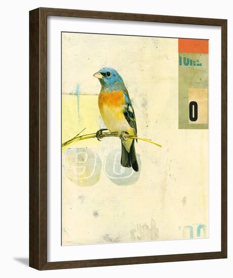 Bird VII-Kareem Rizk-Framed Giclee Print