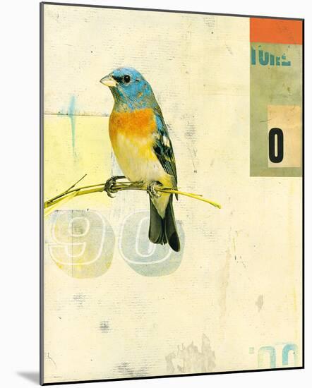 Bird VII-Kareem Rizk-Mounted Giclee Print