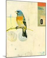Bird VII-Kareem Rizk-Mounted Giclee Print