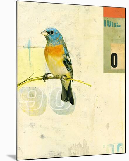 Bird VII-Kareem Rizk-Mounted Giclee Print