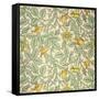 Bird Wallpaper Design (Colour Woodblock Print on Paper)-William Morris-Framed Stretched Canvas