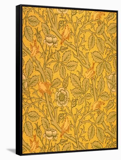 Bird Wallpaper Design (Colour Woodblock Print on Paper)-William Morris-Framed Stretched Canvas