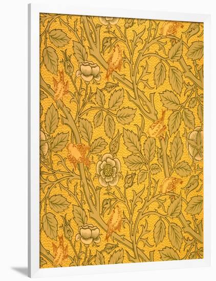 Bird Wallpaper Design (Colour Woodblock Print on Paper)-William Morris-Framed Giclee Print