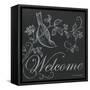 Bird Welcome-Gwendolyn Babbitt-Framed Stretched Canvas