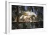 Bird with Fish in its Claws, Detail from Frescoes, Villa Giulia-null-Framed Giclee Print