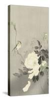 Bird with Peony-Ohara Koson-Stretched Canvas