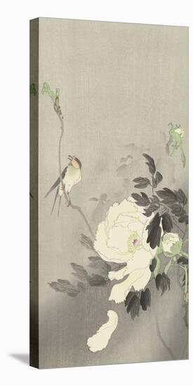 Bird with Peony-Ohara Koson-Stretched Canvas