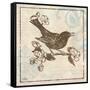 Bird Woodcut I-Elizabeth Medley-Framed Stretched Canvas