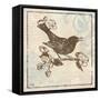 Bird Woodcut I-Elizabeth Medley-Framed Stretched Canvas