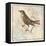 Bird Woodcut II-Elizabeth Medley-Framed Stretched Canvas