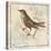 Bird Woodcut II-Elizabeth Medley-Stretched Canvas