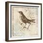 Bird Woodcut II-Elizabeth Medley-Framed Premium Giclee Print