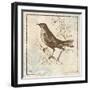 Bird Woodcut II-Elizabeth Medley-Framed Premium Giclee Print