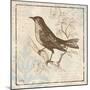 Bird Woodcut II-Elizabeth Medley-Mounted Premium Giclee Print