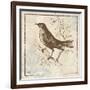 Bird Woodcut II-Elizabeth Medley-Framed Art Print