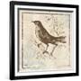 Bird Woodcut II-Elizabeth Medley-Framed Art Print