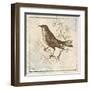 Bird Woodcut II-Elizabeth Medley-Framed Art Print