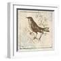 Bird Woodcut II-Elizabeth Medley-Framed Art Print