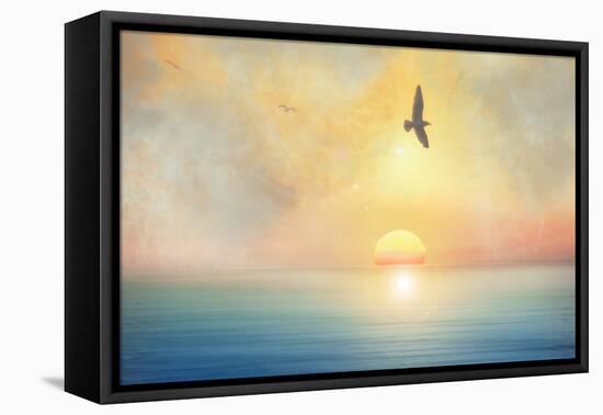 Bird-Viviane Fedieu Daniel-Framed Stretched Canvas