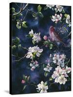 Bird-Jeff Tift-Stretched Canvas