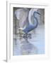 Bird-Rusty Frentner-Framed Giclee Print