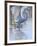 Bird-Rusty Frentner-Framed Giclee Print