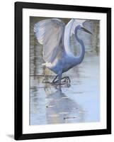 Bird-Rusty Frentner-Framed Giclee Print