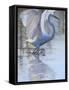 Bird-Rusty Frentner-Framed Stretched Canvas