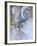 Bird-Rusty Frentner-Framed Giclee Print