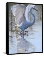 Bird-Rusty Frentner-Framed Stretched Canvas