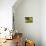 Birdbath and Flowers, Oakland House Seaside Resort, Brooksville-Jerry & Marcy Monkman-Photographic Print displayed on a wall