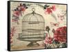 Birdcage &amp; Blossoms-Kimberly Poloson-Framed Stretched Canvas