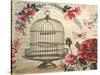 Birdcage &amp; Blossoms-Kimberly Poloson-Stretched Canvas